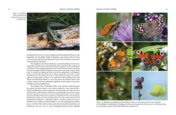 Sample spread from Fifty Years of Cheshire’s Wildlife