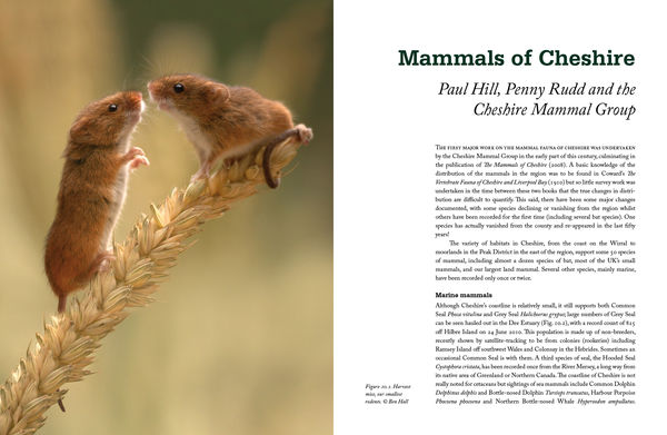 Sample spread from Fifty Years of Cheshire’s Wildlife