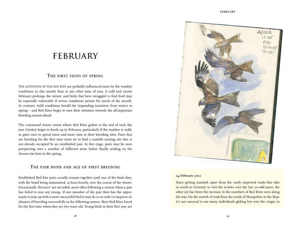 Sample spread from The Red Kite’s Year
