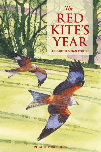 Cover of The Red Kite’s Year
