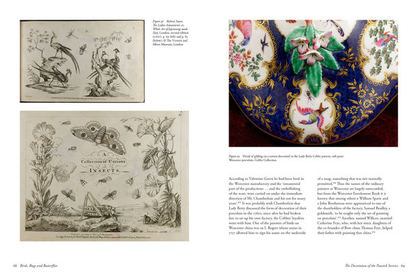 Sample spread from Birds, Bugs and Butterflies: Lady Betty Cobbe’s ‘Peacock’ China