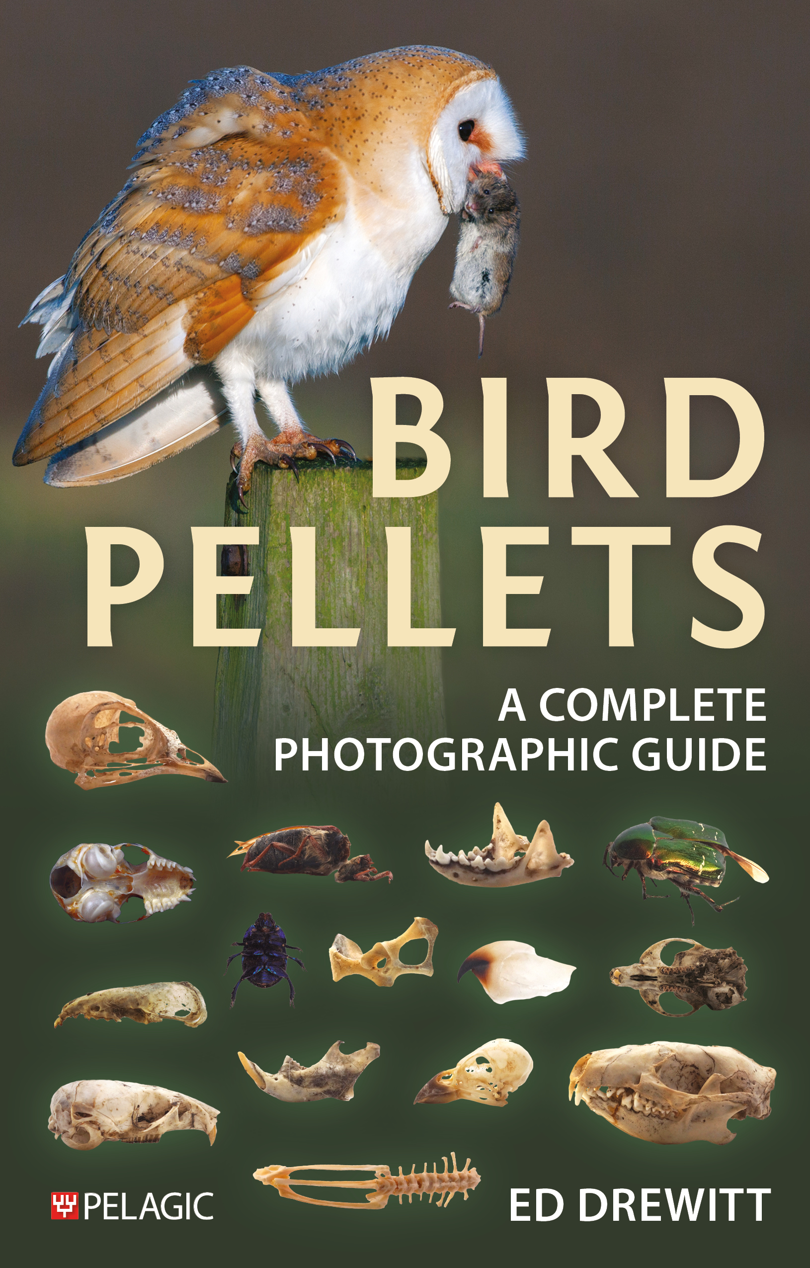 Cover of Bird Pellets: A Complete Photographic Guide