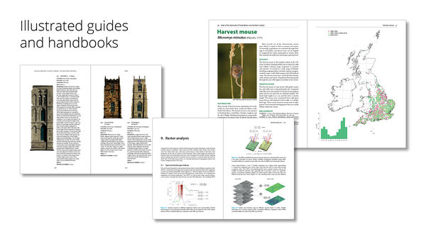 Illustrated guides and handbooks, showing one spread each from three recent full-colour projects